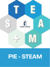 PIE - STEAM